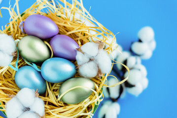 Colored Easter eggs in a basket on a bright blue festive background. Sprigs of cotton lie next to a wicker basket. Top view, place for text. Easter concept