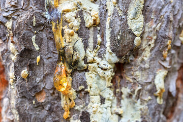 close-up of resin droplets, out of focus, selective focus on resin