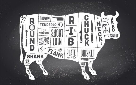 Cow, beef. Scheme, diagram, chart beef, butcher guide. Vintage retro print, art typography. Black-white chalk graphic design on chalkboard. Poster cow for Butchery meat shop. Vector Illustration