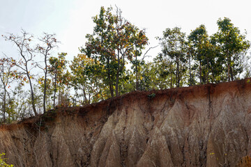 Soil Horizon Each horizon is different in color, surface texture, structure, porosity and soil...