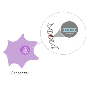 The concept picture of Cancer (tumor) cell that always contains the oncogene that uncontrolled or overexpression.