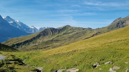 Fototapeta premium Grindelwald mountains
