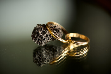 anillo, anillos, anillas, boda, casamiento, símbolo, unión