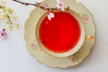 Eine vintage Teetasse mit rotem Tee und rosa Blüten auf weißem Hintergrund von oben, close-up