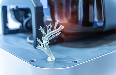 medically accurate a human blood vessel printed on 3d printer