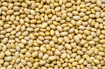 Canary beans from Peru