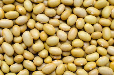 Canary beans from Peru