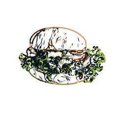  color sketch of Burger with transparent background
