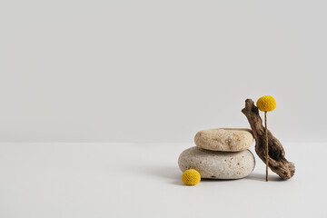 Empty stone podium, piece of driftwood and yellow flower on grey background. Minimal eco backdrop....