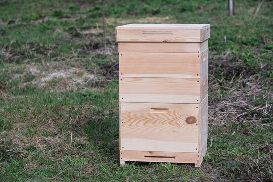 One new set of wooden beehive in the spring garden, closeup