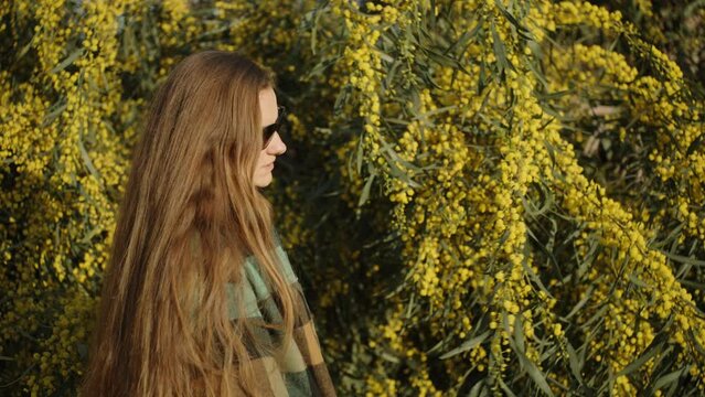 A girl with long hair by a Acacia pycnantha tree sniffs Flowers.