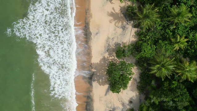 Tropical Cara&iacute;va Bahia Paisagem Natureza Para&iacute;so Tur&iacute;stico Vilarejo F&eacute;rias Ver&atilde;o Praia Satu Rio Mar Comunidade Litor&acirc;nea Ribeirinha Porto Seguro Costa Descobrimento APA Trancoso Monte Pascoal Igreja
