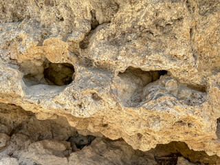 A hollow, deformed tufa wall. Travertine or bigar is a monomineral rock, it is made up of the mineral calcite.