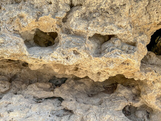 A hollow, deformed tufa wall. Travertine or bigar is a monomineral rock, it is made up of the...