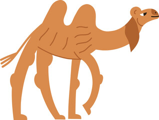 Camel, vector element