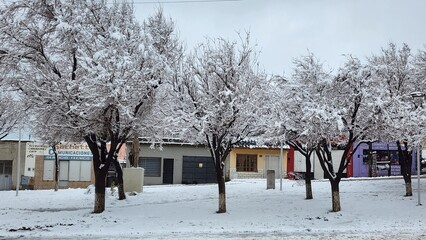 Comodoro 