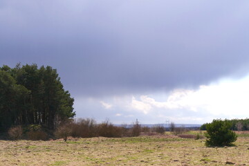 Fototapeta premium stormy rain clouds over a small forest