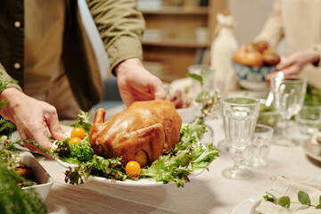 Hands of young man putting plate with homemade roasted poultry decorated with green lettuce and yellow tomatoes on table