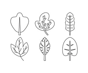 tropical leaf icons set line illustration