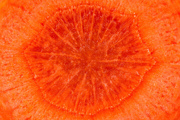 Slice of carrot abstract macro view