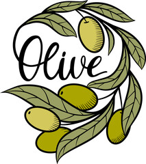 Olive branch and lettering, vector shape