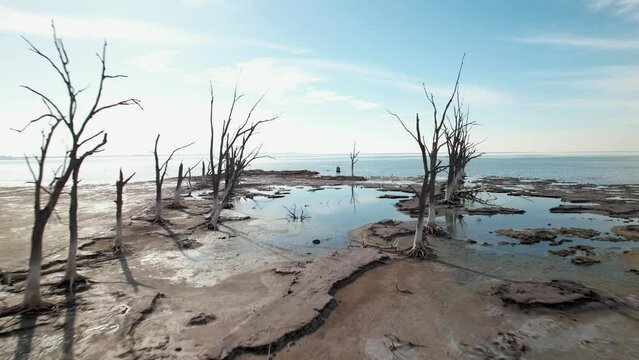Laguna de Mar Chiquita, Mar de Ansenuza, Cordoba, Argentina. Playa de laguna de agua salada. Arboles secos. Avance de dron.
