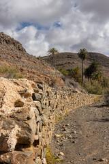 Valley with a palm tree oasis, Fuerteventura