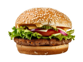 Hamburger on white background isolate