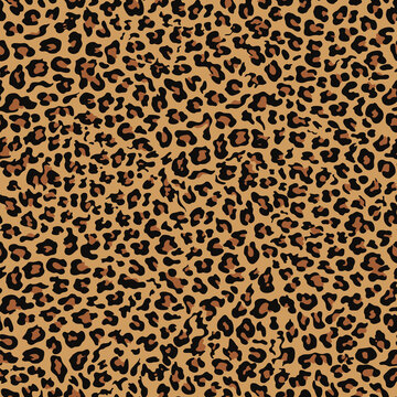 Leopard print seamless animal pattern vector trendy background, cat skin.
