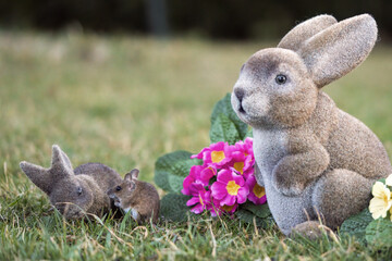 beautiful easter decoration with rabbits, colorful springflowers and a yellow necked mouse on the green lawn at a spring morning