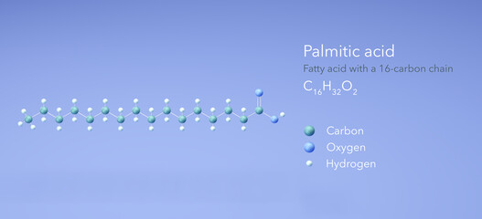 palmitic acid molecule, molecular structures, hexadecanoic acid, 3d model, Structural Chemical Formula and Atoms with Color Coding