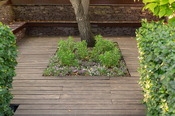 A secluded place to relax in a landscape park among green bushes and trees