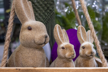 Smiling, cheerful, light brown Easter bunnies in a wooden box with cotton ropes. colorful large Easter eggs and indoor plants in the background blurred