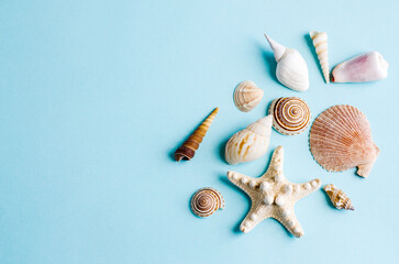 Different seashells on a blue background with space for text.