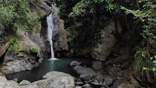 Cascada con agua cristalina en medio del bosque en Puerto Rico