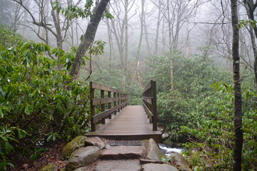 Obraz premium SMOKEY MOUNTAINS PARK