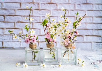 Cherry blossoms in a small glass  vases. Spring flowers background on white bricks background 