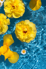 Yellow rose and iris flower buds in blue transparent water. Summer floral composition with sun and shadows. Nature concept. Top view. Selective focus