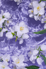 White jasmine flowers in transparent water. Summer floral composition with sun and shadows. Nature concept. Top view. Selective focus
