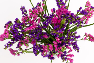 pink and purple dry flowers on a white background