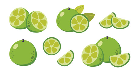 Vector Lime Set isolated on a white background. Cute cartoon illustration of organic food. Life compositions, whole and sliced natural fruites with green leaves