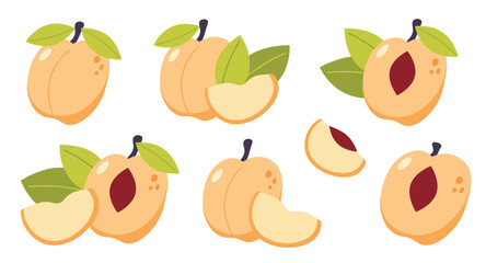 Vector Peach Set isolated on a white background. Cute cartoon illustration of organic food. Life compositions, whole and sliced natural fruites with green leaves