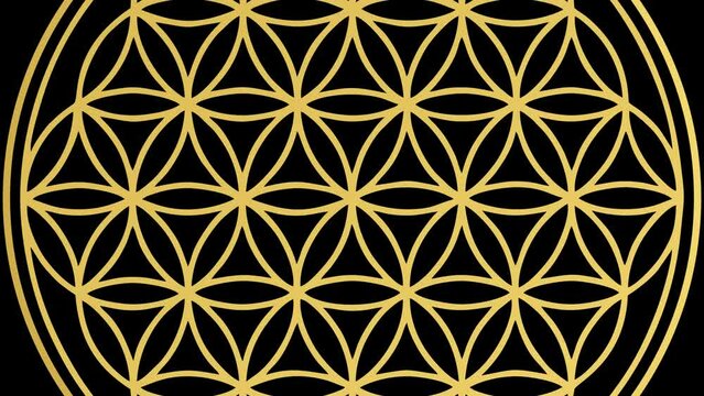 Flower of life on black background universe zoom