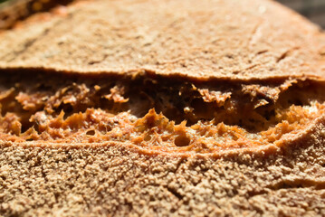 close-up of fresh crunchy bread