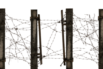 Old destroyed fence with barbed wire on a white background. Barb Wire