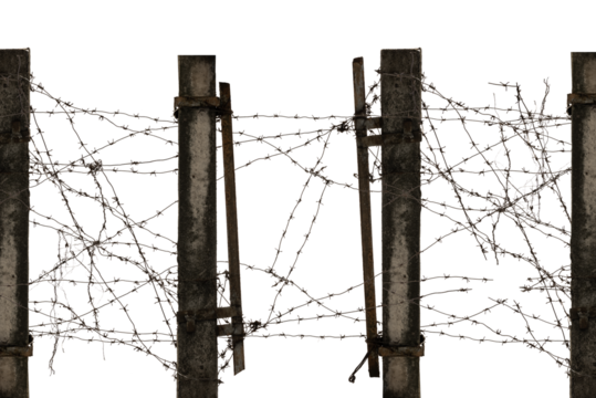 Old destroyed fence with barbed wire on a white background. Barb Wire