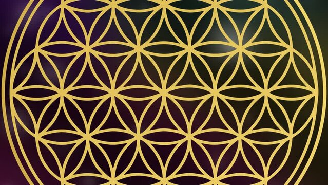 Flower of life on black background universe zoom