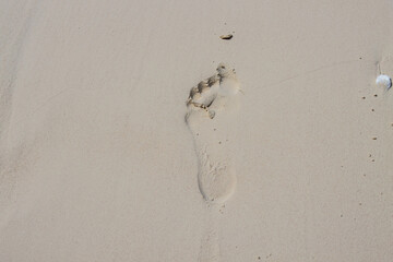 footprint in sand on ocean beach