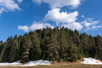 near bolu abant forest and clear sky