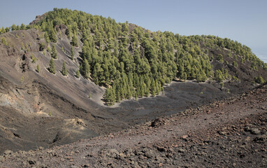 La Palma, long-range popular hiking route Ruta de Los Volcanes, landscapes around 
black crater of El Duraznero volcano, formed in 1949